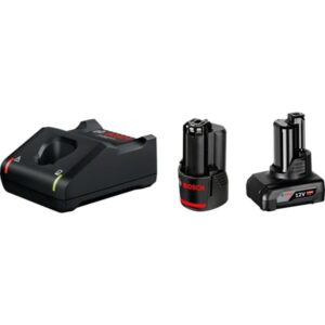 Bosch Starter-Set 12V (1x GBA 12V 2.0Ah + 1 x GBA 12V 4.0Ah + GAL 12V-40 Professional) (schwarz, 2x Akku + Ladegerät)