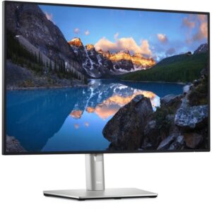 Dell U2421E, LED-Monitor (61.13 cm (24.1 Zoll), silber, WUXGA, IPS, USB-C)