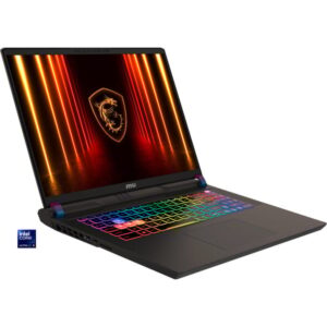 MSI Vector 17 HX AI A2XWHG-041, Gaming-Notebook (grau, Intel® Core™ Ultra 9 275HX, NVIDIA GeForce RTX 5070 Ti, 32 GB DDR5, 2 TB (2 TB SSD), Windows 11 Home)