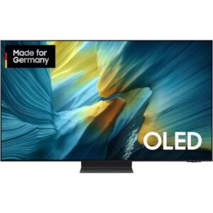 SAMSUNG GQ83S95FAEXZG, OLED-Fernseher (209 cm (83 Zoll), schwarz/silber, UltraHD/4K, Vision AI, PVR, Twin-Tuner, One Connect Box, 100Hz Panel)